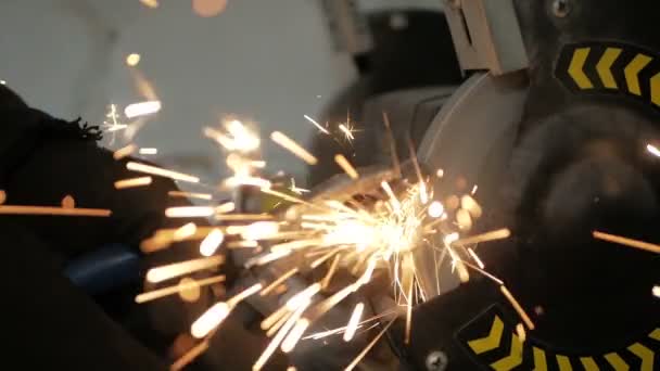Work on a sharpening machine. — Stock Video