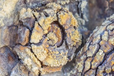 Huelva 'daki (İspanya) Riotinto eski madenlerinin kalıntıları)