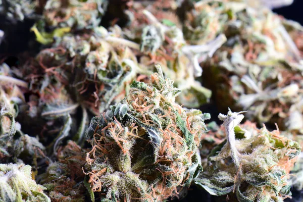 Gran brote de cannabis droga, primer plano, marihuana medicinal, hierba de alta resolución — Foto de Stock