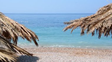 Grenli kum tropikal plaj, mavi okyanus deniz dalga kıyıya yıkar. Karadağ beach palm ağacı yapılan şemsiye ile yaprakları.
