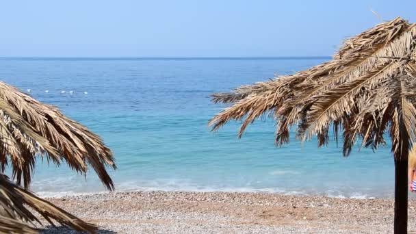 Grainy sand tropical beach, blue ocean sea wave washes the shore. Montenegro beach with umbrella made of palm tree leaves. — Stock Video