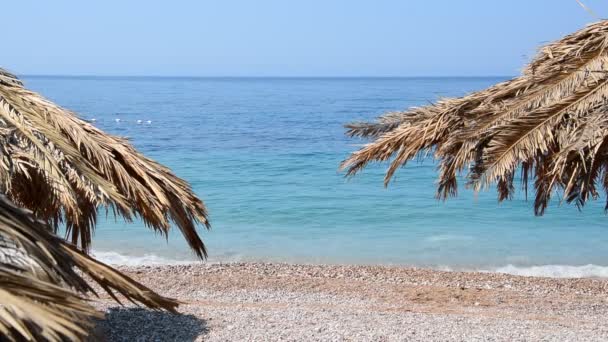 Körniger Sand tropischer Strand, blauer Ozean Meereswelle spült das Ufer. Montenegro Strand mit Sonnenschirm aus Palmenblättern. — Stockvideo