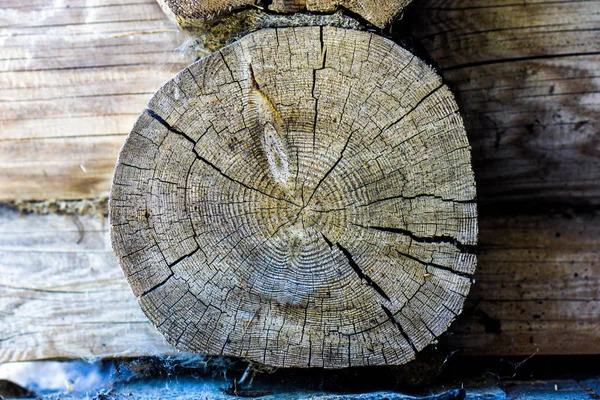 Trozo redondo de tocón de madera cortado con anillos de árboles envejecidos. Textura de madera marrón y marrón con grietas y corteza —  Fotos de Stock