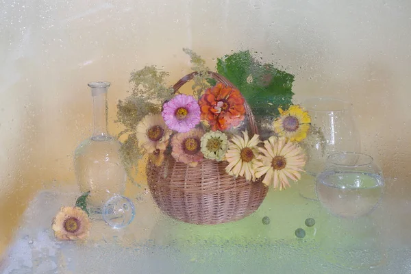 濡れたガラスの背後に花の花束のある静物 色付きの背景にバスケットの百日草の花束 — ストック写真