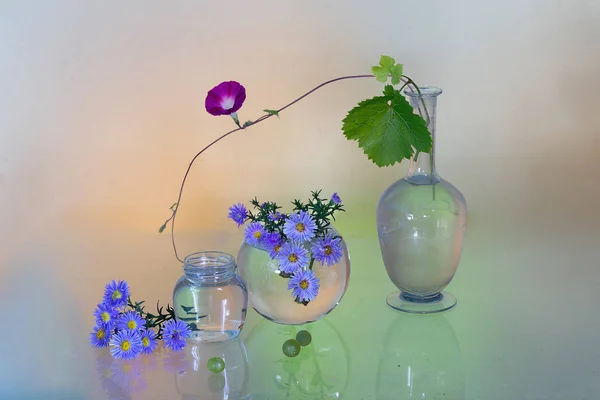 色の光で花瓶に花のある静物 — ストック写真