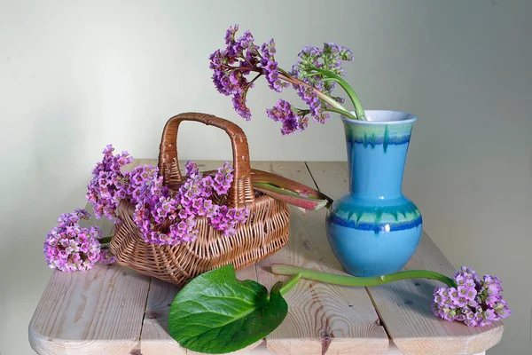 Vacker Bukett Vårens Lila Blommor Korg Med Vatten Isolerad Vit — Stockfoto