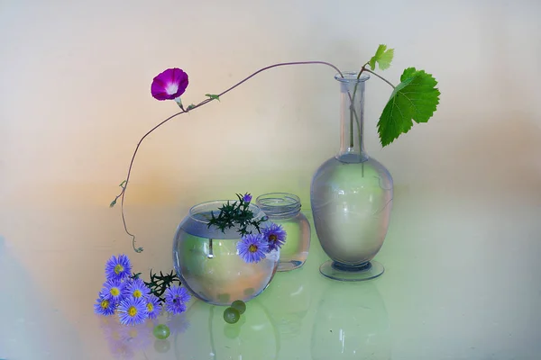 Stillleben Mit Blumen Einer Vase Farbigem Licht — Stockfoto