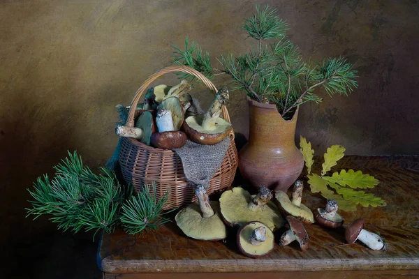 Nature Morte Avec Des Champignons Forêt Dans Panier — Photo