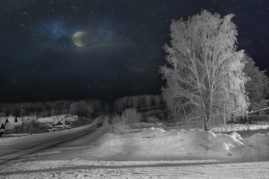 Ağaç üzerinde bir karanlık kış sky karayolu ile beyaz karda. Beyaz karda huş ağacı .