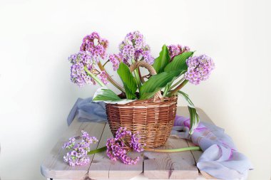 Güzel buket bahar eflatun çiçek bir sepette beyaz arka plan üzerinde izole su ile