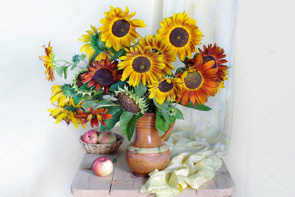 Autumn photo.Still life ripe apples and sunflowers isolated on white background.