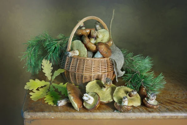 Still life with mushrooms from the forest in the basket.
