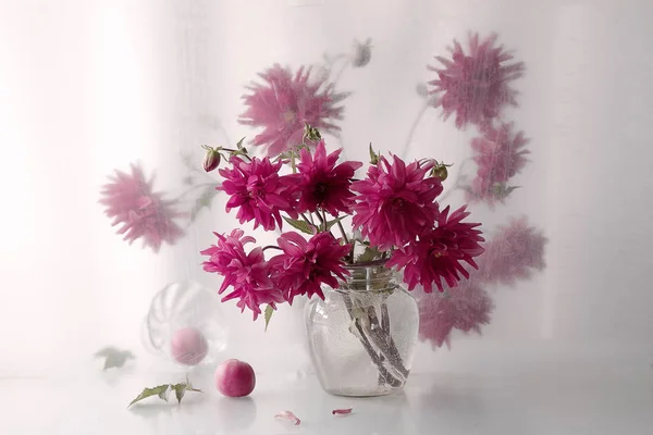 Bouquet Fleurs Sur Fond Transparent — Photo