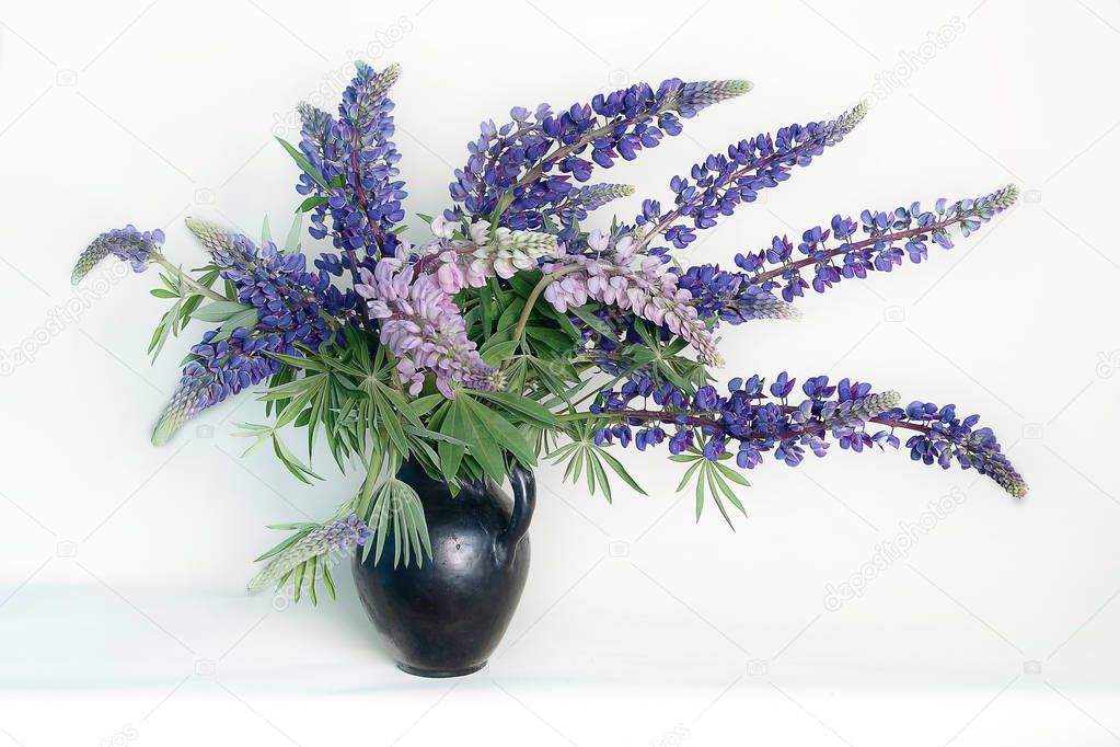 Still life with purple lupins in a vase on a white background.Spring flowers in a bouquet.