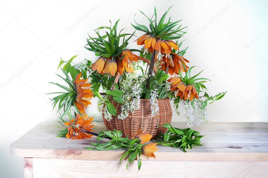 Still life with orange lilies in a vase on the table.Bouquet of fritillary