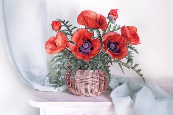 Large red poppies in a bouquet on a white background.Beautiful bouquet of poppies.