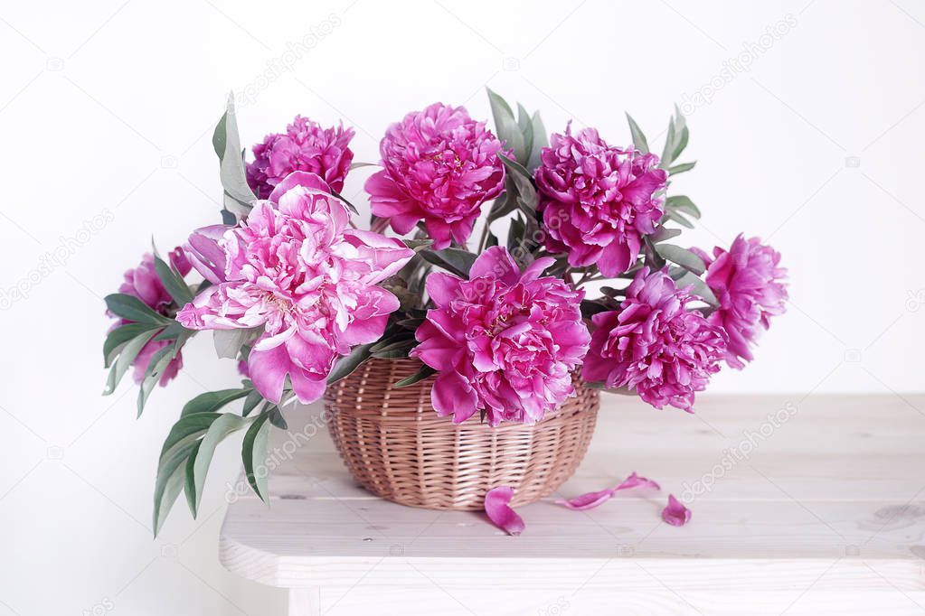 A bouquet of beautiful ,pink peonies in a basket on a white background.Still life of pink peonies.