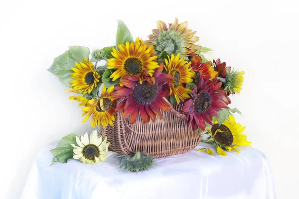 Still life with sunflowers in basket isolated on white background