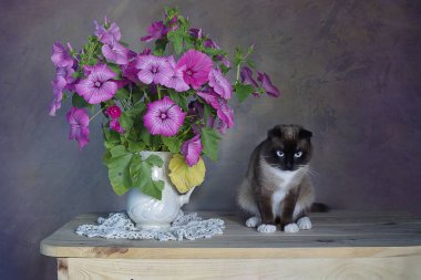 Bir kedi ve vazoda pembe çiçeklerden oluşan bir buketle natürmort