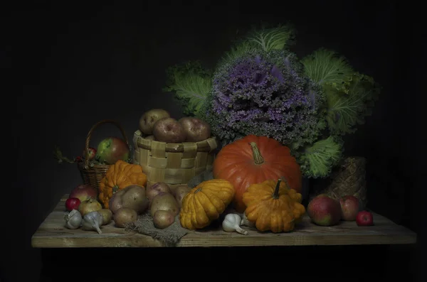 Збираємо Фрукти Овочі День Подяки — стокове фото