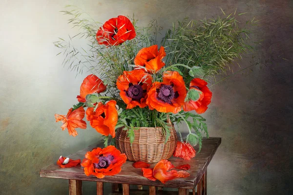 Kahverengi arka planda izole edilmiş vazodaki güzel kırmızı gelincikler..