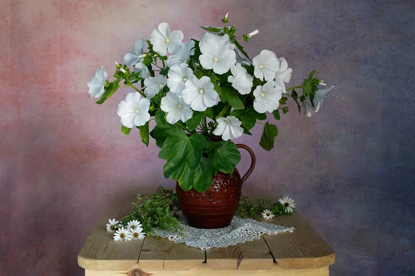 Vazoda Beyaz Çiçeklerle Dolu Bir Hayat — Stok fotoğraf
