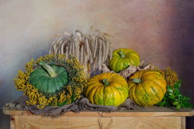 Masadaki olgun balkabaklarını topla. Şükran Günü.