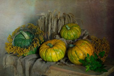 Masadaki olgun balkabaklarını topla. Şükran Günü.