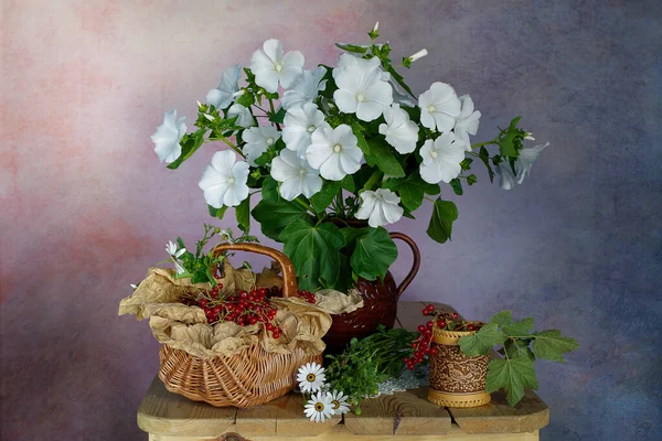 Bodegón Con Bayas Flores Blancas — Foto de Stock
