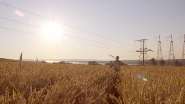Široký záběr zemědělce, který prochází pšeničné pole, při východu slunce v rozlišení 4k — Stock video