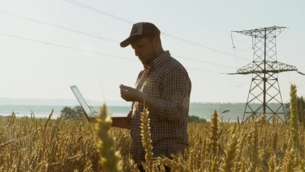 Фермер з ноутбуком в полі перевіряє якість пшениці — стокове відео