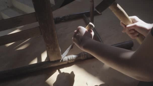 Het meisje timmerman renoveert de oude meubels — Stockvideo