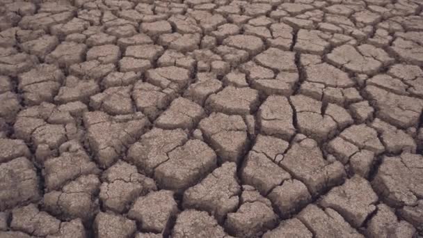 The bottom of the dried lake, cracked soil — Stock Video