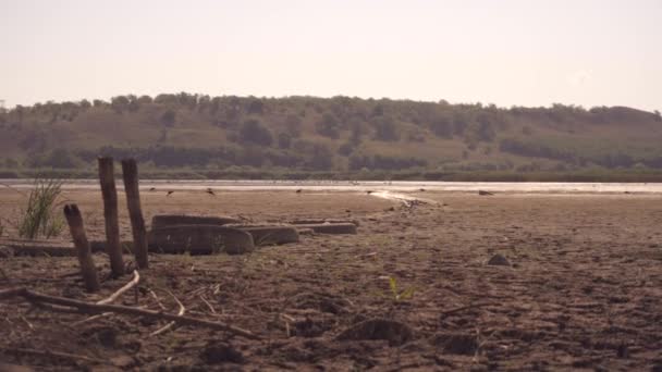 O fundo do lago seco, pássaros no horizonte — Vídeo de Stock