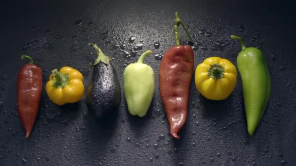 Légumes, aubergines et poivrons sur une surface sombre dans des gouttes d'eau — Video