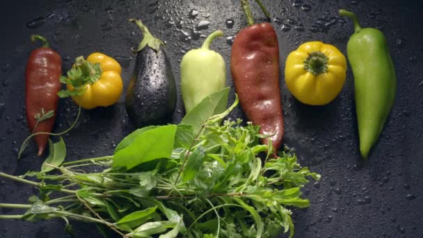 Legumes, berinjela e pimenta em gotas de água. Homem tomando grama verde fresca — Vídeo de Stock