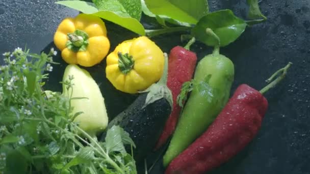 Fresh Organic Food Water Drops Légumes Aubergines Poivrons — Video