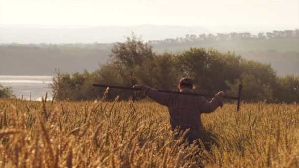 Mujer campesina sosteniendo herramienta agrícola pasa por un campo de trigo al amanecer — Vídeos de Stock