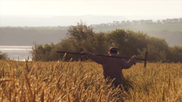 Farmář žena držící zemědělský nástroj prochází pšeničné pole při východu slunce — Stock video