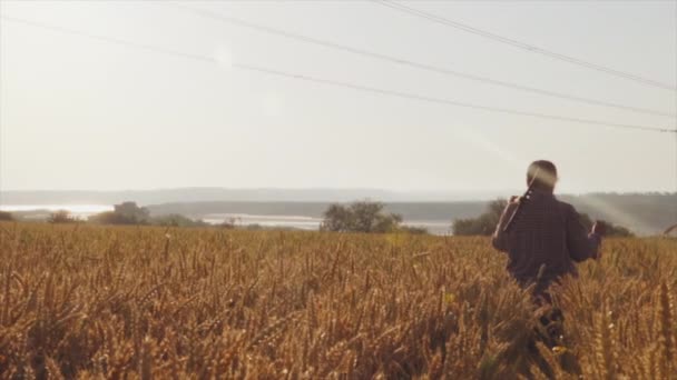 Mulher agricultora segurando ferramenta agrícola passa por um campo de trigo ao nascer do sol — Vídeo de Stock