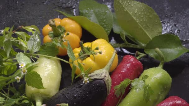 Vegetables, eggplants and peppers on a dark surface in drops of water in natural light — Stock Video
