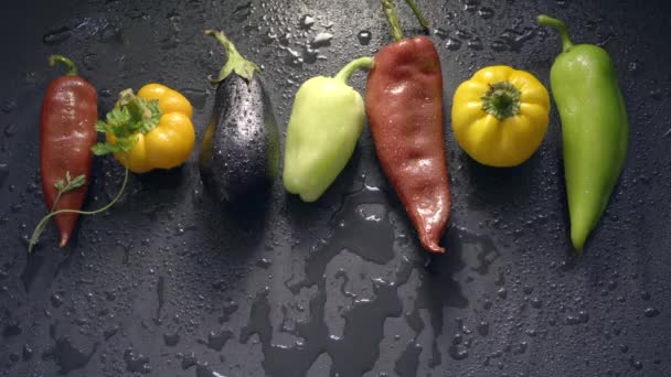 Zelenina, lilek, papriky a čerstvé bylinky — Stock video