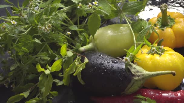 Verduras, berenjenas y pimientos en una superficie oscura en gotas de agua a la luz natural — Vídeos de Stock