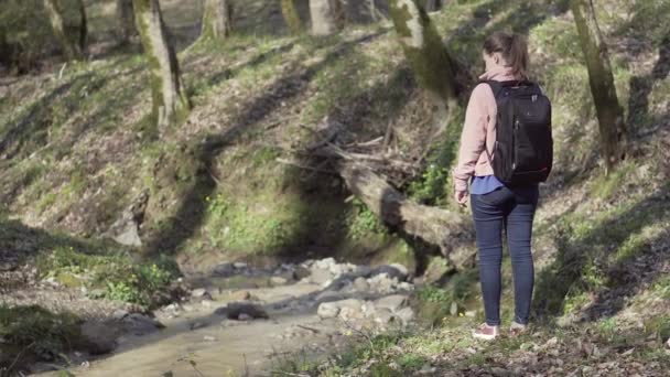 Menina com um cão na floresta de outono — Vídeo de Stock