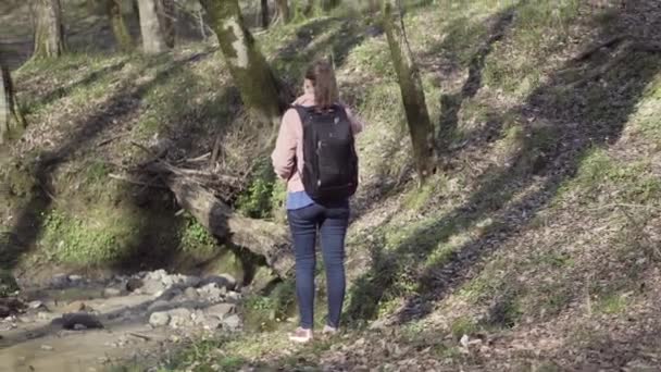 Menina viajante com uma mochila viaja na floresta — Vídeo de Stock