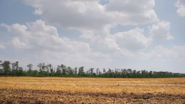 Vue de fenêtre latérale de voiture conduisant autour d'un paysage plat campagne. Agriculture . — Video