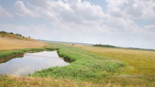 La vista dal finestrino dell'auto sui campi e sul lago durante la guida — Video Stock