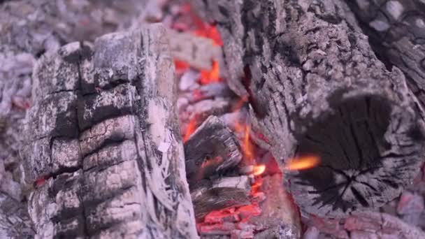 Close-up Brandende houtblokken en kolen in een barbecue — Stockvideo