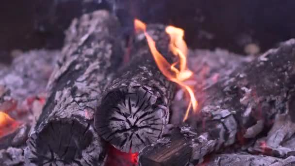 Nahaufnahme Brennende Holzscheite und Kohlen im Grill — Stockvideo