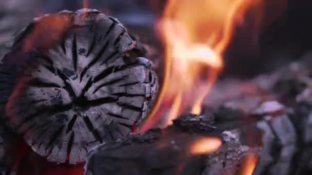 Close-up Queimando troncos e carvão em um churrasco — Vídeo de Stock